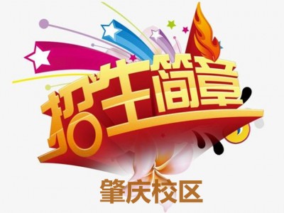 肇庆2024届招生简章